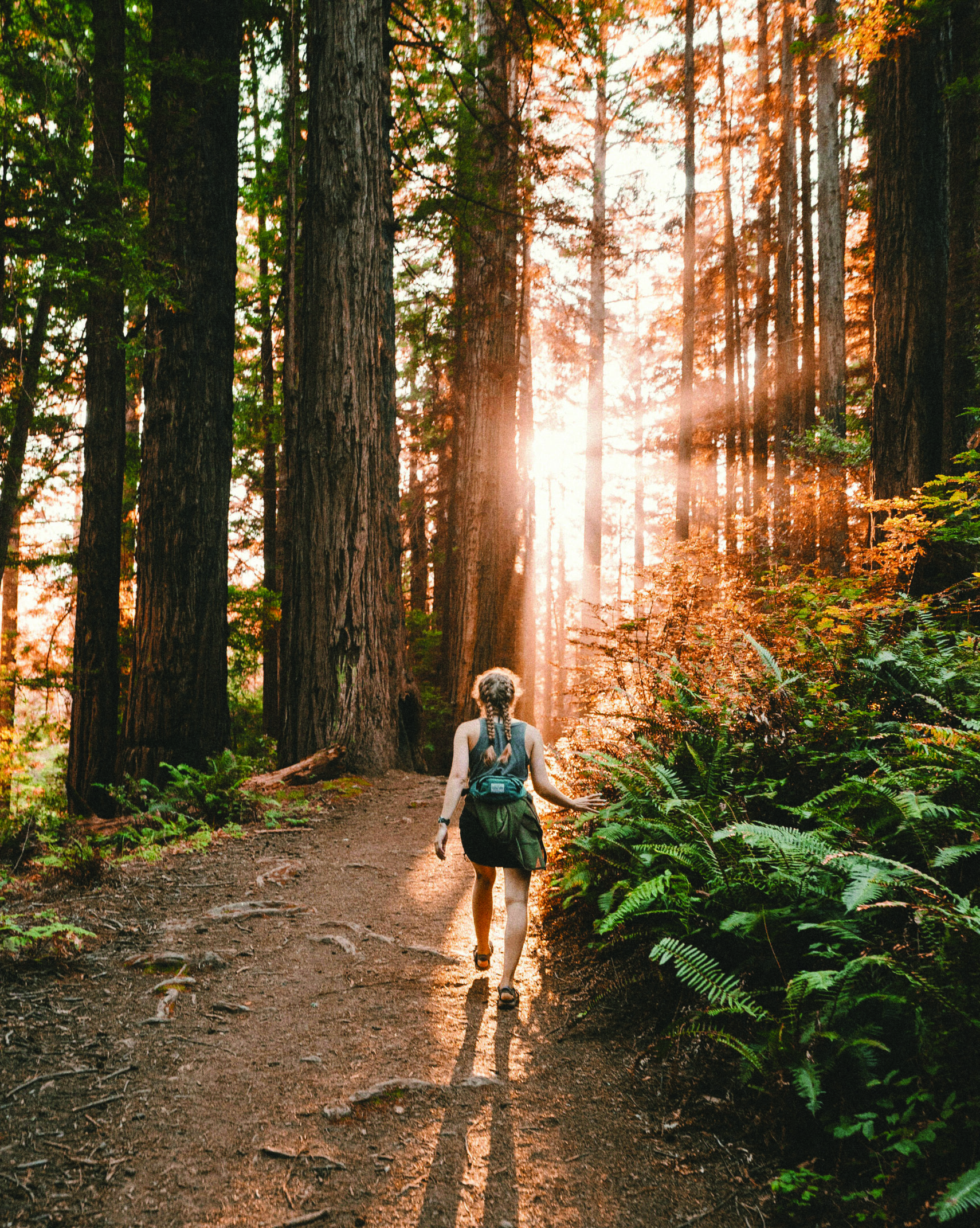 kevin-wolf-rr-3tpYdUb0-unsplash